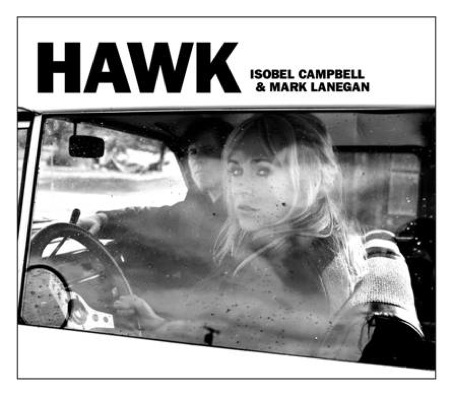 Hawk by robert campbell & mark lanigan.