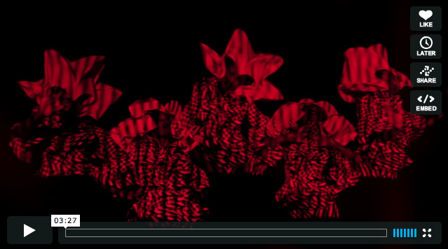 A video of a red flower with a black background.