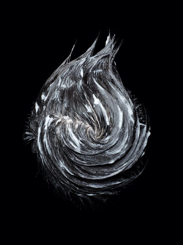 A black and white feather on a black background.